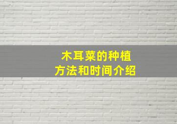 木耳菜的种植方法和时间介绍