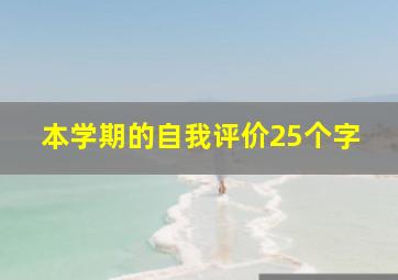 本学期的自我评价25个字