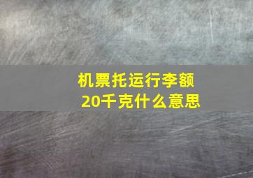 机票托运行李额20千克什么意思