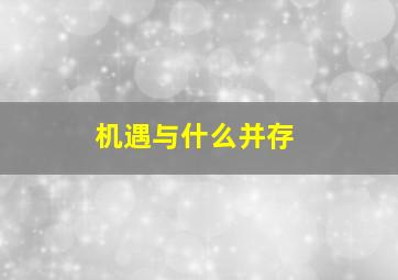 机遇与什么并存