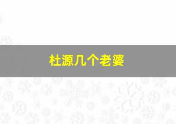 杜源几个老婆