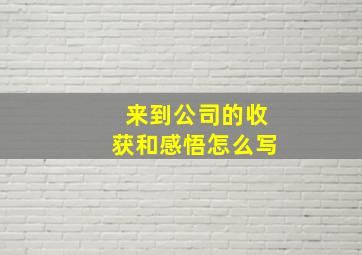 来到公司的收获和感悟怎么写