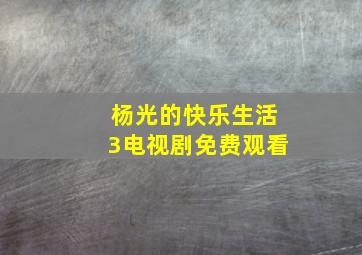 杨光的快乐生活3电视剧免费观看