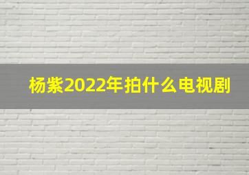 杨紫2022年拍什么电视剧