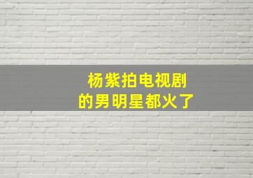 杨紫拍电视剧的男明星都火了