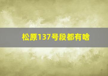 松原137号段都有啥