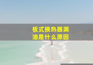 板式换热器漏油是什么原因