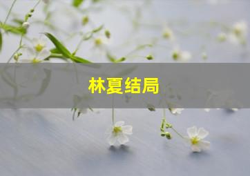 林夏结局