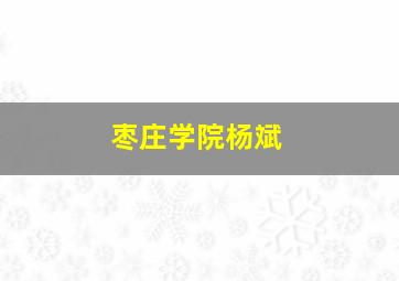 枣庄学院杨斌