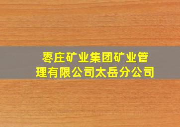 枣庄矿业集团矿业管理有限公司太岳分公司