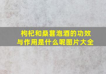 枸杞和桑葚泡酒的功效与作用是什么呢图片大全