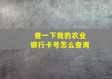 查一下我的农业银行卡号怎么查询