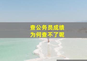 查公务员成绩为何查不了呢