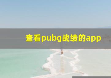 查看pubg战绩的app