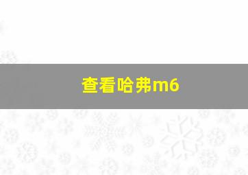 查看哈弗m6