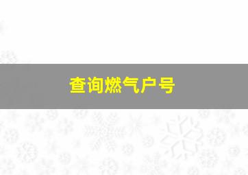 查询燃气户号