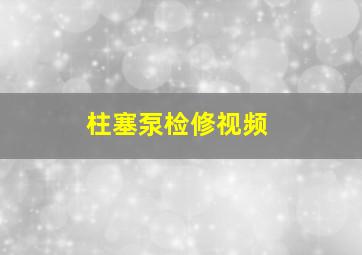 柱塞泵检修视频