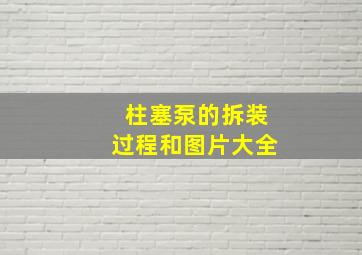 柱塞泵的拆装过程和图片大全