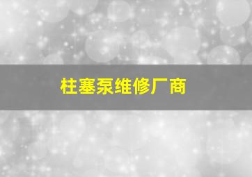 柱塞泵维修厂商