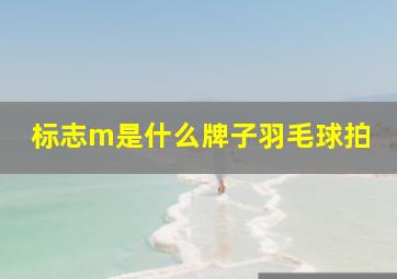 标志m是什么牌子羽毛球拍