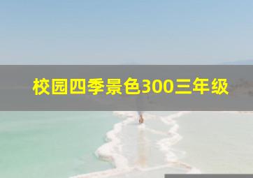 校园四季景色300三年级