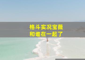 格斗实况宝薇和谁在一起了