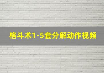 格斗术1-5套分解动作视频