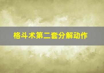 格斗术第二套分解动作