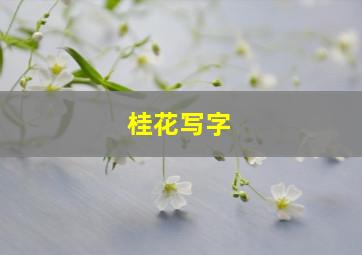 桂花写字