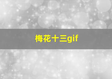 梅花十三gif