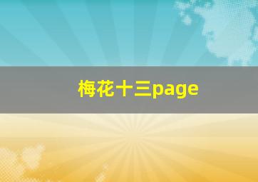 梅花十三page