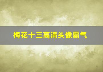 梅花十三高清头像霸气