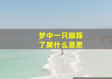 梦中一只脚踩了屎什么意思