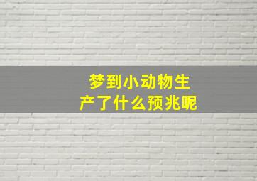 梦到小动物生产了什么预兆呢