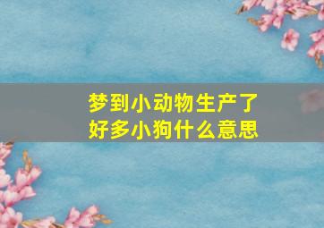 梦到小动物生产了好多小狗什么意思