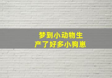 梦到小动物生产了好多小狗崽