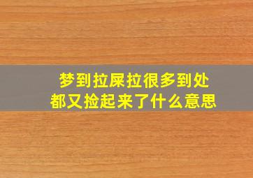 梦到拉屎拉很多到处都又捡起来了什么意思