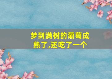 梦到满树的葡萄成熟了,还吃了一个