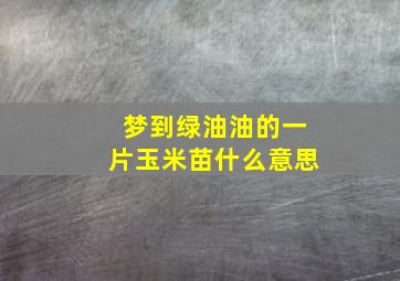 梦到绿油油的一片玉米苗什么意思