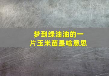 梦到绿油油的一片玉米苗是啥意思