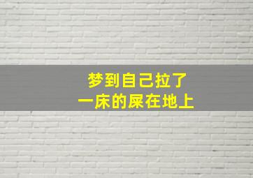 梦到自己拉了一床的屎在地上