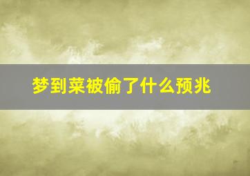 梦到菜被偷了什么预兆