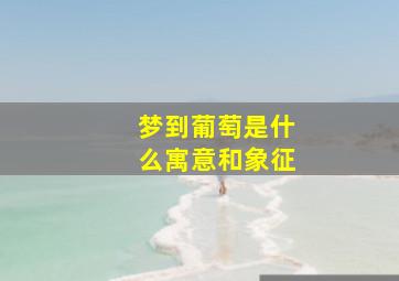 梦到葡萄是什么寓意和象征