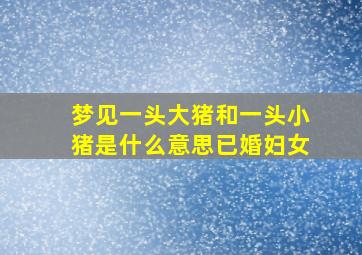 梦见一头大猪和一头小猪是什么意思已婚妇女