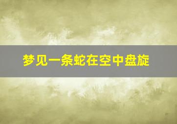 梦见一条蛇在空中盘旋