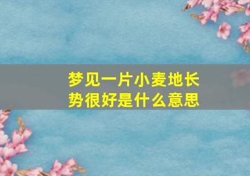 梦见一片小麦地长势很好是什么意思