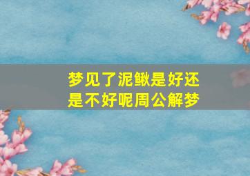 梦见了泥鳅是好还是不好呢周公解梦