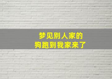 梦见别人家的狗跑到我家来了