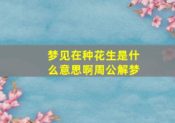 梦见在种花生是什么意思啊周公解梦