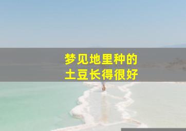 梦见地里种的土豆长得很好